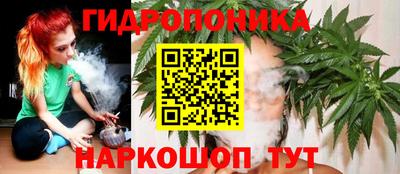 тгк Дубна